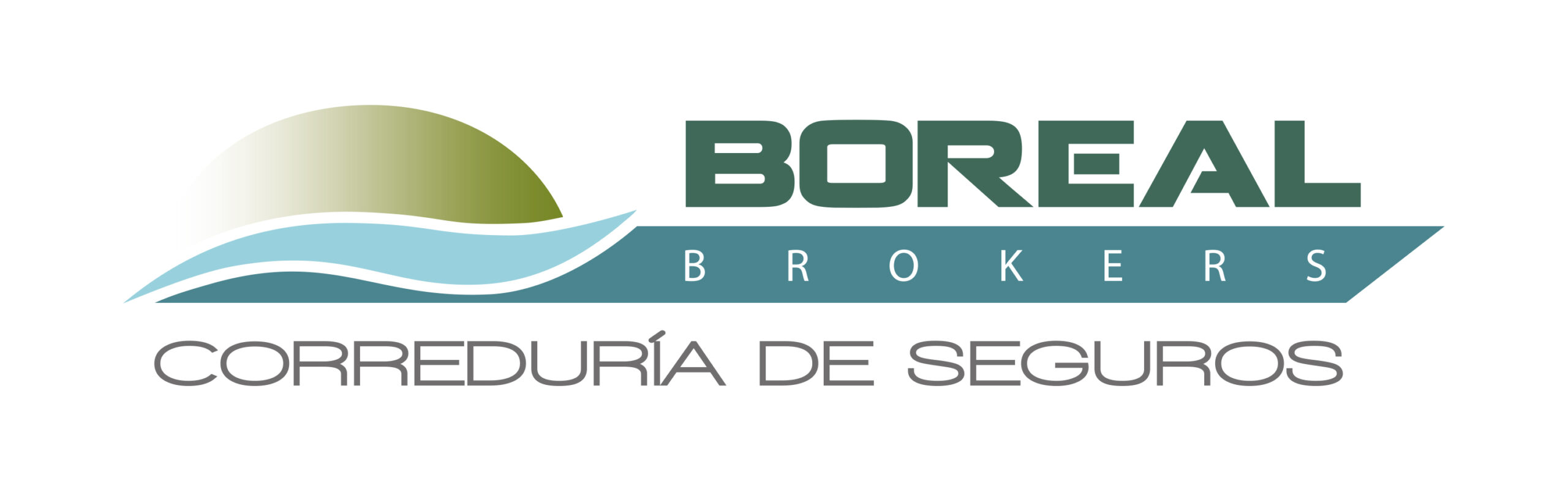 logo boreal brokers 2015_XL